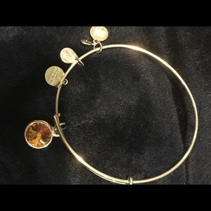 Alex & Ani November Bangle